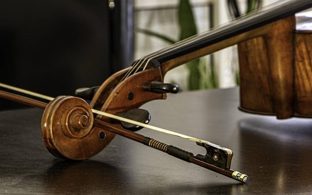 Accessoires indispensables pour violoncellistes